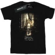 T-shirt Fantastic Beasts BI23008