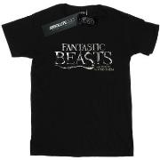 T-shirt Fantastic Beasts BI23024