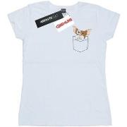 T-shirt Gremlins BI22834