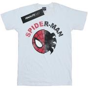 T-shirt Marvel BI45448