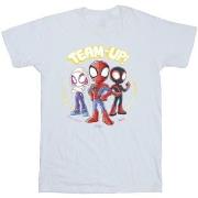 T-shirt Marvel Spidey And His Amazing Friends