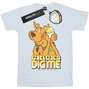 T-shirt Scooby Doo Chicks Dig Me