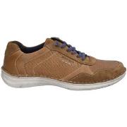 Derbies Josef Seibel BLUCHER ANVERS-97 NUBUCK CUERO