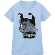 T-shirt Scooby Doo Scared Jump