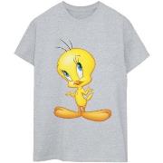 T-shirt Dessins Animés BI33140