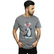 T-shirt Dessins Animés Sylvester Distressed