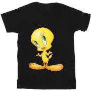 T-shirt Dessins Animés BI35707