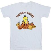 T-shirt Dessins Animés Twick Or Tweat