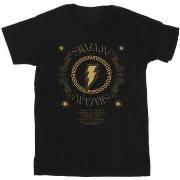 T-shirt enfant Dc Comics Shazam Fury Of The Gods Golden Spiral Chest