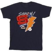 T-shirt enfant Dc Comics Shazam Fury Of The Gods Sticker Spam
