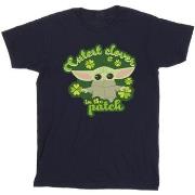 T-shirt Disney The Mandalorian St Patrick's Day Cutest Clover