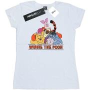 T-shirt Disney Winnie The Pooh Group