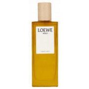Parfums Loewe Parfum Homme Solo Mercurio EDP (50 ml)