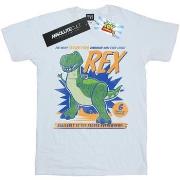 T-shirt Disney Toy Story 4 Rex Terrifying Dinosaur