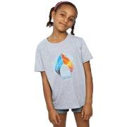 T-shirt enfant Dc Comics BI7326