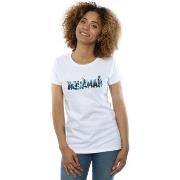 T-shirt Dc Comics Aquaman Text Logo