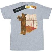 T-shirt enfant Disney Solo Chewie Falcon