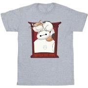 T-shirt Disney Big Hero 6 Baymax Frame Support