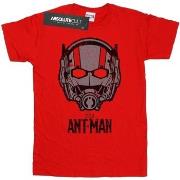 T-shirt enfant Marvel BI6671