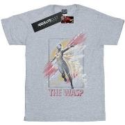 T-shirt enfant Marvel Ant-Man And The Wasp Framed Wasp