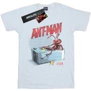 T-shirt enfant Marvel Bathing Ant