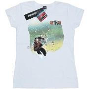 T-shirt Marvel BI7489