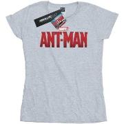 T-shirt Marvel BI7540