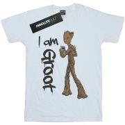 T-shirt enfant Marvel Avengers Infinity War Graffiti Groot