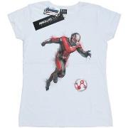 T-shirt Marvel Avengers Endgame