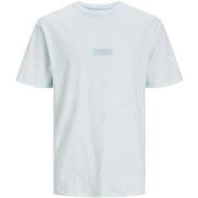 T-shirt Jack &amp; Jones 161479VTPE24