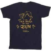 T-shirt enfant Fantastic Beasts: The Secrets Of Magic Hieroglyphs