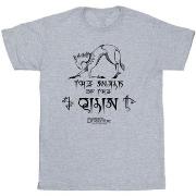 T-shirt enfant Fantastic Beasts: The Secrets Of Magic Hieroglyphs