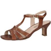 Sandales Caprice Sandale Talon Camel