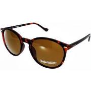 Lunettes de soleil Timberland 7185 52E