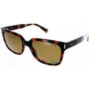 Lunettes de soleil Polaroid PLD 6191 S 086 HAVANA