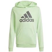 Sweat-shirt enfant adidas SWEAT À CAPUCHE VERT - SEGRSP CHACOA - 11/12...