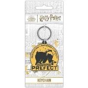 Porte clé Harry Potter PM5903