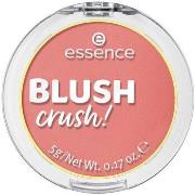 Blush &amp; poudres Essence Rouge Coup De Coeur ! Blush 20-rose Profon...