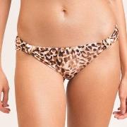 Maillots de bain Rio De Sol 2024 Leopard UPF 50+