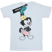 T-shirt enfant Animaniacs BI6480