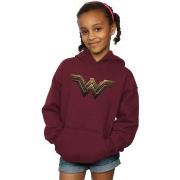 Sweat-shirt enfant Dc Comics BI3960