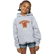 Sweat-shirt enfant Harry Potter Gryffindor