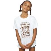 T-shirt enfant Harry Potter BI20551