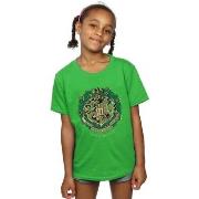 T-shirt enfant Harry Potter BI20946