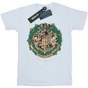 T-shirt enfant Harry Potter BI20946