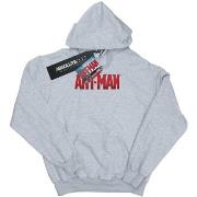 Sweat-shirt enfant Marvel BI3045