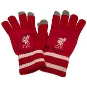 Gants Liverpool Fc SG19059