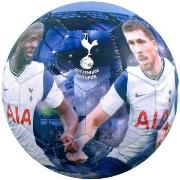 Ballons de sport Tottenham Hotspur Fc SG20357