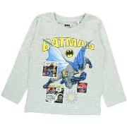 T-shirt enfant Dc Comics T-shirt