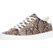 Baskets basses Guess Baskets femme Ref 59532 Taupe
